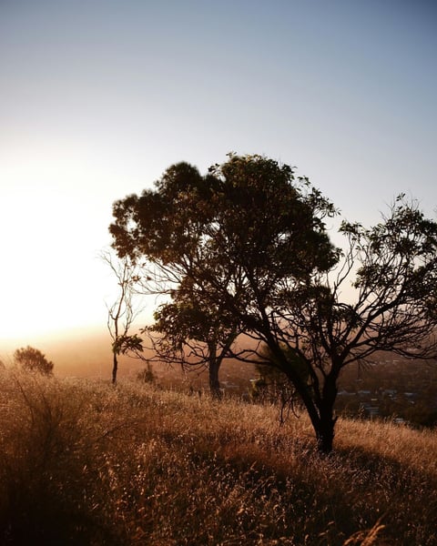 ToursActivity Images - Portrait (1)